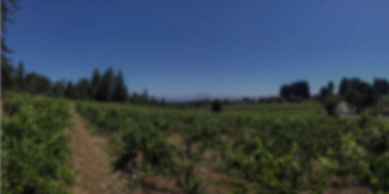 Picture of Searby Vineyard
