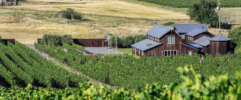 Picture of building surrounded by growing grapes in a vineyard