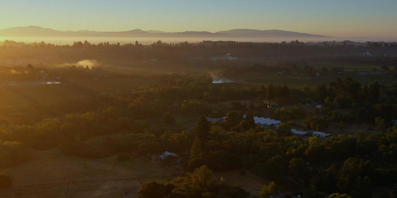 Shot of the Russian River Valley at dusk, showing an expansive forest and mountains in the distance.