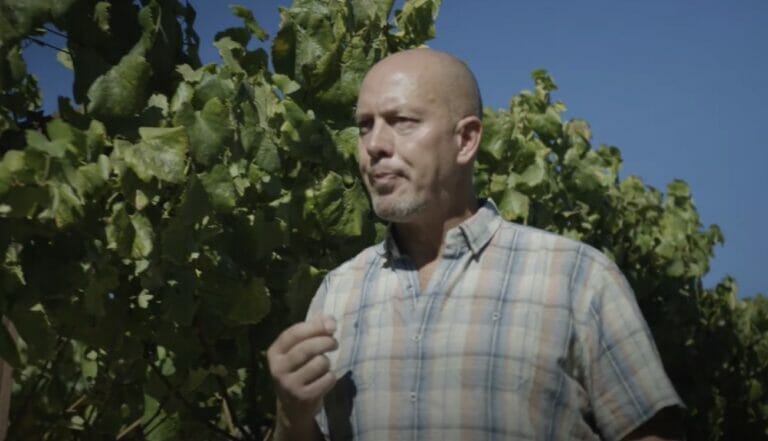 James MacPhail talking to camera while in vineyard