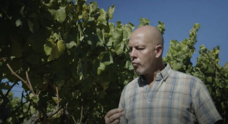 James MacPhail in vineyard