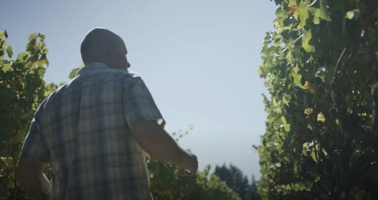 James MacPhail walking through vineyard
