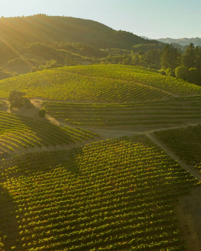 Picture of Dutton Ranch Vineyards with rolling hills