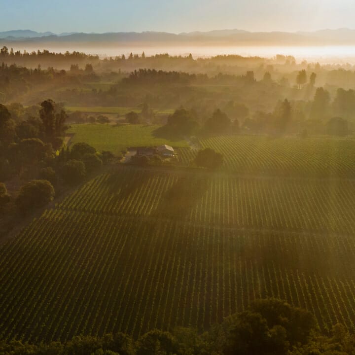 Aerial shot showing the greenery and beauty of Sonoma County.