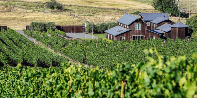 Image of grapes growing in rows around building in Terra de Promissio Vineyard